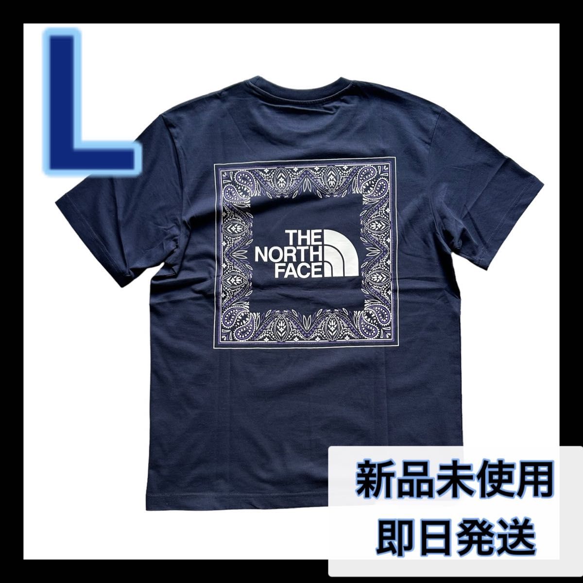 1点限定 THE NORTH FACE M スウェット トレーナー 日本未発売