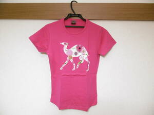 キャメル カンパニー　Camel Company　Ｔシャツ　ピンク　Mサイズ　ラクダのデザイン　ドバイ　未使用品　希少