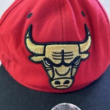 ミッシェルアンドネス　帽子　キャップ　NBA　ブルズ　刺繍　赤　バスケ　デカロゴ 古着 人気 mitchell&ness　バスケットボール　アニマル_画像3