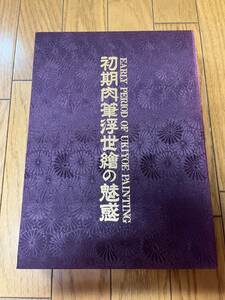 UKIYOE EROS IN JAPAN 4　初期肉筆浮世絵の魅惑 50選 作品50点 浮世絵 エロス シリーズ4 日本芸術出版社 NGS/春画 風俗画 枕絵 秘画 美人画