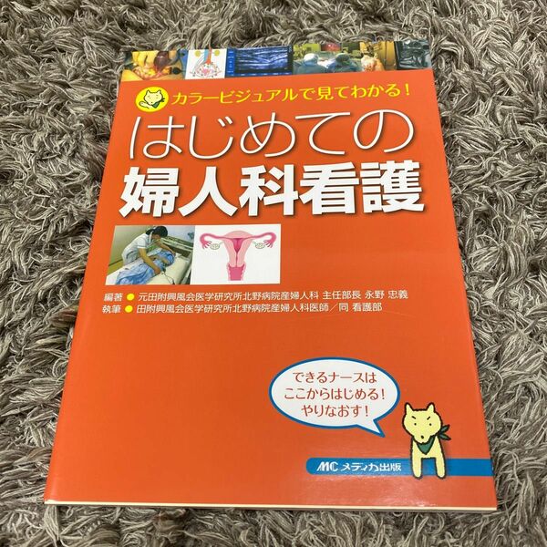 はじめての婦人科看護　カラービジュアルで見てわかる！ 永野忠義／編著　田附興風会医学研究所北野病院産婦人科医師　同看護部／執筆