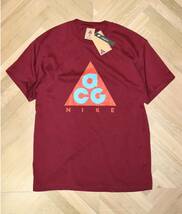 送料無料 即決【未使用】 NIKE ★ ACG SS Tee Logo Giant (Mサイズ) ★ ナイキ ロゴT ルーズフィット CV1533-638_画像2