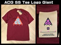 送料無料 即決【未使用】 NIKE ★ ACG SS Tee Logo Giant (Mサイズ) ★ ナイキ ロゴT ルーズフィット CV1533-638_画像1