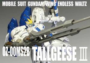 RG 1/144　OZ-00MS2B　トールギスⅢ 【 塗装完成品 】/ 新機動戦記ガンダムW Endless Waltz / プレミアムバンダイ