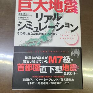 巨大地震　リアルシュミレーション