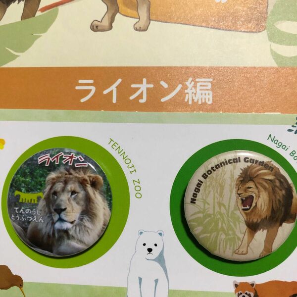 天王寺動物園 長居植物園 スタンプラリー　ライオン　動物と植物のつながり図鑑 缶バッジ