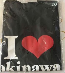 【ラスト1点】安室奈美恵 Tシャツ L 黒 引退 沖縄 新品 花火