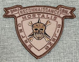 沖縄米軍 3RD .RECONNAISSANCE .リーコン.海兵隊　TAN ドクロ　タイガーエンブ　ワッペン　デザート