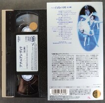 美品VHS「バレエ/白鳥の湖[全3幕]」ロシア国立チャイコフスキー記念ペルミ・バレエ.VHS(131分).N・アナニアシヴィリ.1992年収録_画像7