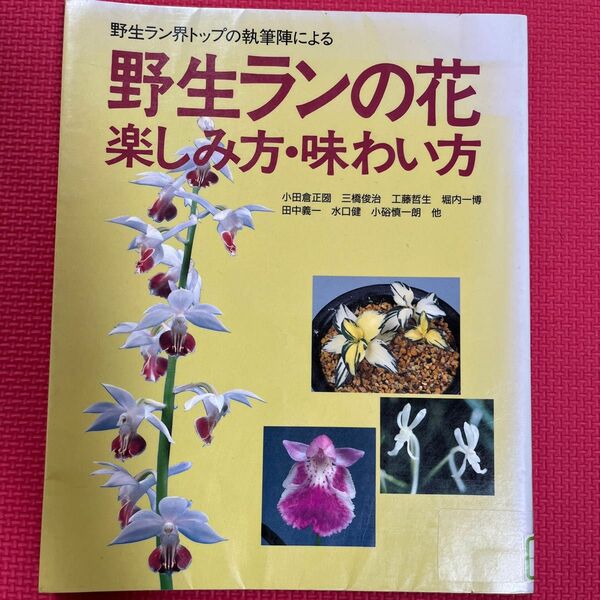 野生ランの花　楽しみ方・味わい方