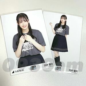 《乃木坂46》公式グッズ 生写真 2枚 セミコンプ　向井葉月　チュウヒキ　33rdSGアンダーライブ ライブTシャツ 会場限定