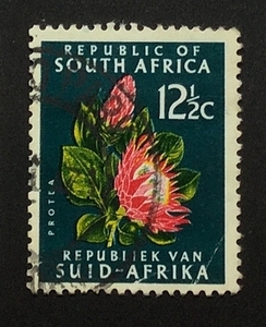南アフリカの切手 Protea (Protea cynaroides), redrawn 1970-06