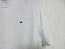 ホリスター Hollister 半袖 Tシャツ カットソー グレージュ系 L 亥3464_画像2