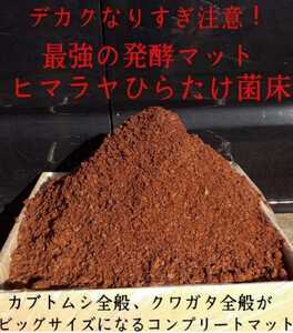 送料無料【改良版】雑虫の混入99％なし！幼虫がビッグに！ヒマラヤひらたけ発酵カブトムシマット！抜群の栄養価！幼虫の餌、産卵マット20L