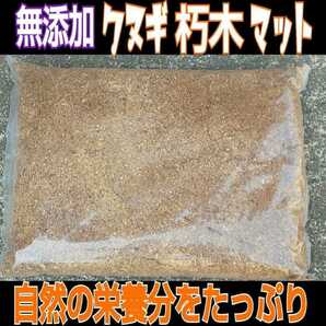 クヌギ朽木粉砕マット☆クワガタ幼虫の餌、カブトムシ幼虫の餌、成虫飼育に！自然に近い環境で育てたい方にお薦め☆材の良い香りがします！