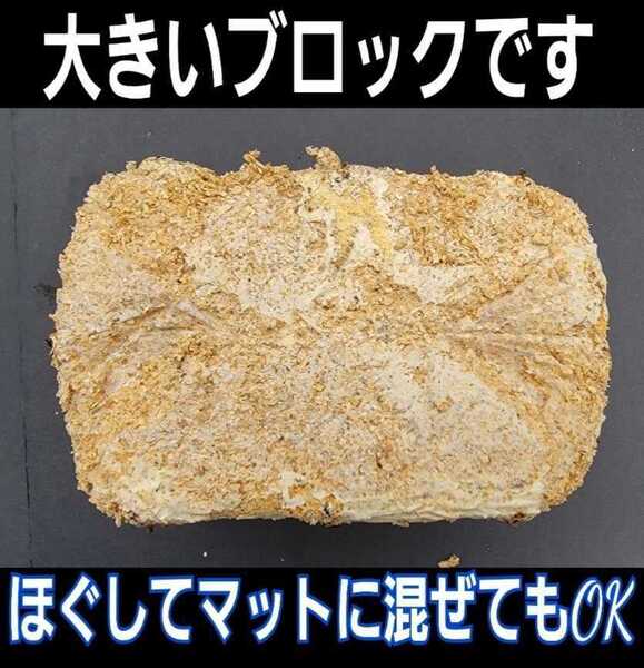 カブトムシ幼虫の栄養強化に!キクラゲ菌床ブロック マットに埋めるだけで幼虫がモリモリ食べます!クワガタの産卵床にも!クヌギ100%