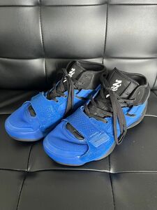 Nike Jordan Zion 2 PF 28cm ナイキジョーダンザイオン