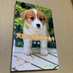 天国の犬ものがたり　未来　（小学館ジュニア文庫　ジほ－１－３） 藤咲あゆな／著　堀田敦子／原作　環方このみ／イラスト