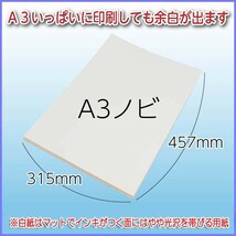 印刷用紙 ハイマッキンレーマットポスト 100枚 Ａ３ノビ （四六判換算220kg） 送料無料_画像2