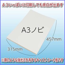 印刷用紙 ミラーコートプラチナ 100枚 Ａ３ノビ （四六判換算180kg・菊判換算125kg・坪量209.4g/m2） 送料無料_画像2