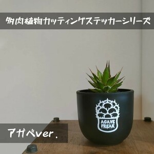 多肉植物カッティングステッカーシリーズ　アガベ　ver. 【チタノタ　オテロイ　ホリダ　エボリスピナ　実生　種子　グッズ　鉢