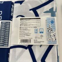 かまわぬ 手ぬぐい ポケモンセンター スカイツリータウン ピカチュウ、パターン柄 HISUI DAYS ヒスイゾロア 3枚セット 未使用_画像5