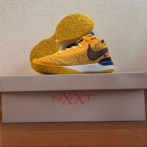 NIKE ズームレブロンネクストジェン
