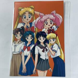 【超レア 当時物 】美少女戦士 セーラームーン■ポストカード■ Sailor Moon■003