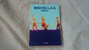 葡萄が目にしみる　林真理子著　昭和61年初版　同梱可能