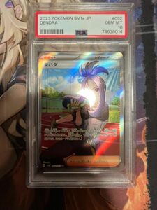 PSA10 キハダ SR 