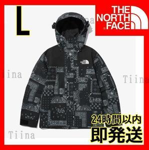 L 新品 韓国 ノースフェイス マウンテンジャケット ゴアテックス ペイズリー メンズ 大人 THE NORTH FACE