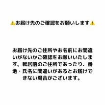 クロレッツXP オリジナルミント ビッグボトル 290g 3個セット ボトルガム 大容量 緑のボトル_画像5