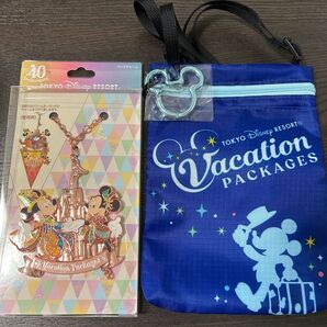 ディズニー バッグチャーム チケットホルダー
