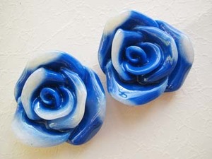  Victoria n2 tone rose blue × white 