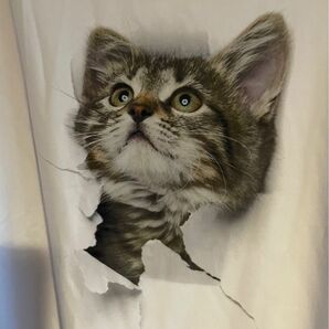 ☆飛び出す猫柄Ｔシャツ 『L』 《Amazon バズ　セレクション》　　　　　　　　【新品】