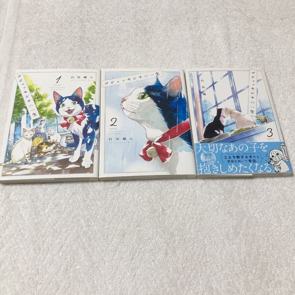 光のパンジー 全巻 11巻セット 初版|PayPayフリマ