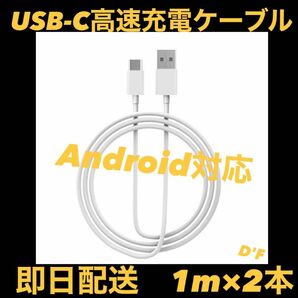 【SEAL・即日配送】Apple・Android純正同等 USB-C ケーブル　2セット1m 急速充電モデル