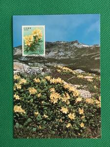 005609) 高山植物 第3集 キバナシャクナゲ 日本郵趣協会 マキシマムカード MC 初日 ポスクロ