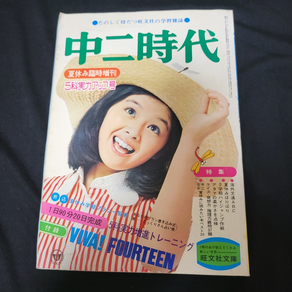 夏休み増刊号の値段と価格推移は？｜9件の売買データから夏休み増刊号