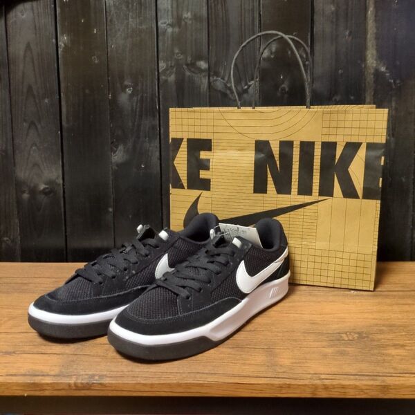 NIKE SB ADVERSARY スケートボーディング スニーカー