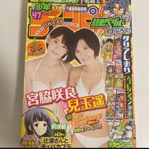 ※ 週刊少年チャンピオン 2014年 no.47 宮脇咲良 弱虫ペダル クリアしおり_画像1