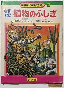 昭和レトロ「なぜなに学習図鑑15　なぜなに植物のふしぎ」小学館/函あり/昭和47（1972）年発行