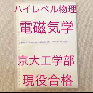 ハイレベル物理　電磁気学　神講座　東進ハイスクール　理系　バッチリノート