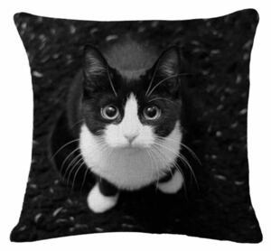  cat cat .. bee crack lovely pillowcase stylish cushion lovely cat interior miscellaneous goods white black 