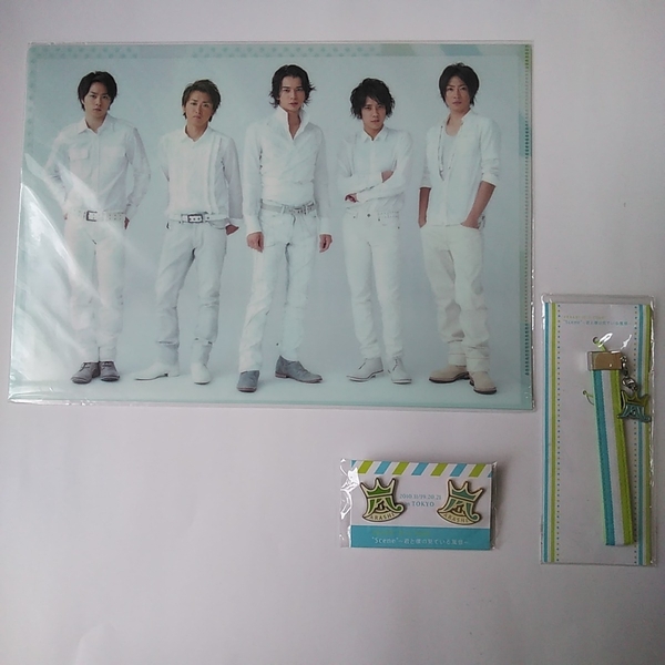嵐2010-2011ツアー ”Scene”~君と僕の見ている風景 ピンバッジ2個入り+クリアファイル+チャーム付きストラップ