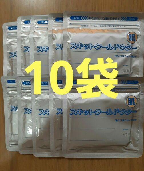 スキットクールドクター　10袋　医薬部外品　湿布