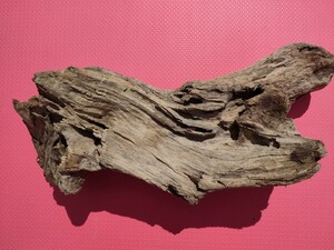 北海道の流木(海で採取)41cm　アクアリウム　鑑賞　爬虫類　オブジェ