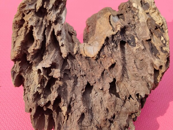 【送料無料】北海道産流木(海で採取)23cm　1209g　蜂の巣模様　個性的　１点物　アクアリウム　オブジェ、インテリア、置物、