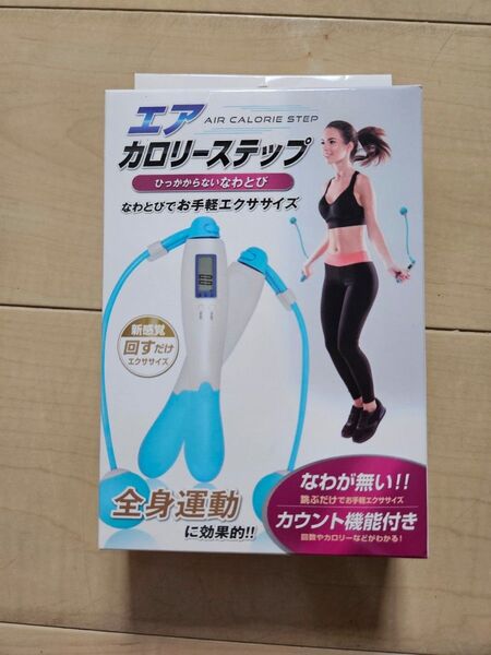 エア カロリーステップ