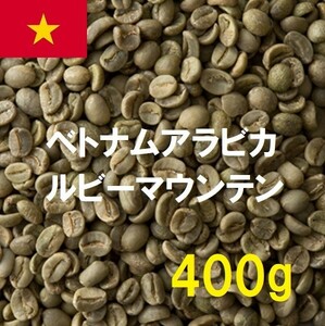 コーヒー生豆　ベトナムアラビカルビーマウンテン　400ｇ　送料無料　グリーンビーンズ